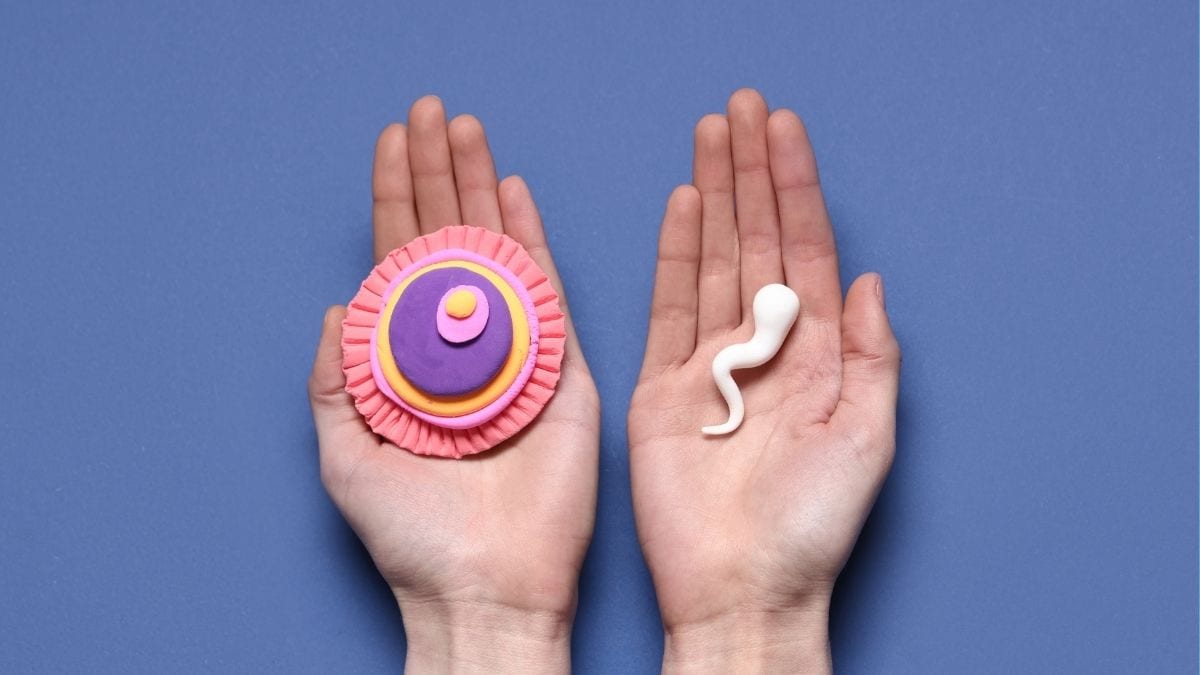 Where to Get IUI in the Philippines and How Much It Costs